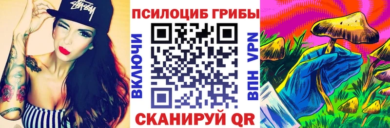 Купить закладки  Касимов  Галлюциногенные грибы мицелий 